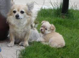 images[7]