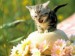 images[1]