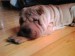images[6]