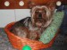imagesCA5RR3CD